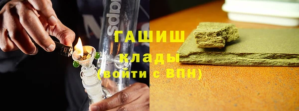 прущие грибы Алзамай