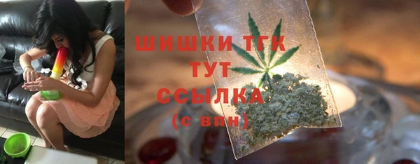 прущие грибы Алзамай