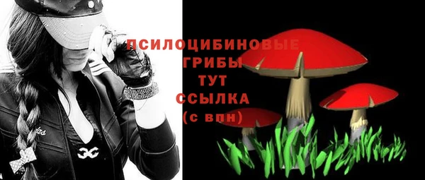 прущие грибы Алзамай