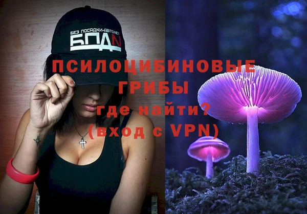 сатива Алексин