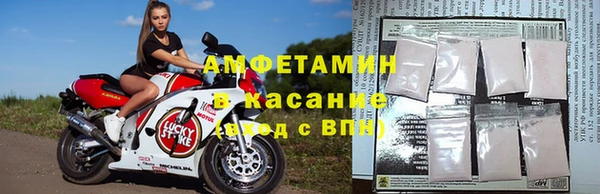 прущие грибы Алзамай
