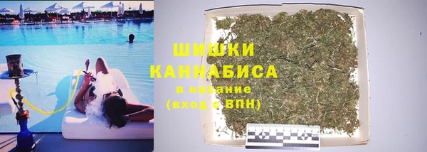 сатива Алексин