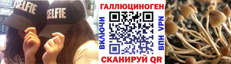 даркнет формула  Боровичи  Псилоцибиновые грибы GOLDEN TEACHER  где можно купить   mega маркетплейс 